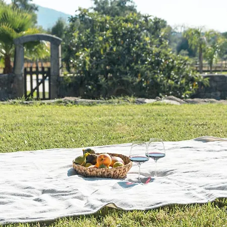 Villa Quinta Da Madanela