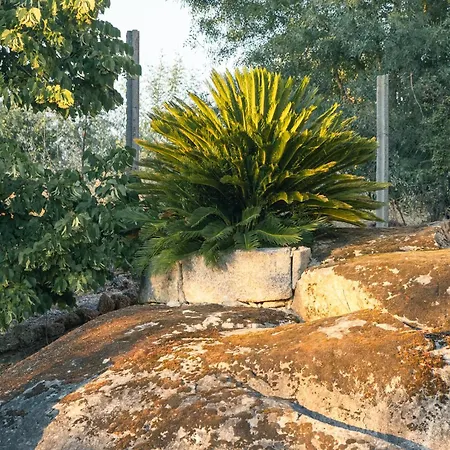 Quinta Da Madanela Villa Fatela
