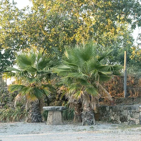 Quinta Da Madanela Willa